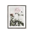 Picture of Romantic Blur Peony V _GroupedProduct_Rectangle_Portrait_Photography _GroupedProduct_Rectangle_Portrait_Framed_Matted_