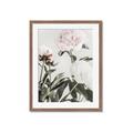 Picture of Romantic Blur Peony V _GroupedProduct_Rectangle_Portrait_Photography _GroupedProduct_Rectangle_Portrait_Framed_Matted_