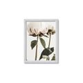 Picture of Romantic Blur Peony IV _GroupedProduct_Rectangle_Portrait_Photography _GroupedProduct_Rectangle_Portrait_Framed_Matted_
