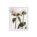 Picture of Romantic Blur Peony IV _GroupedProduct_Rectangle_Portrait_Photography _GroupedProduct_Rectangle_Portrait_Framed_Matted_