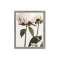 Picture of Romantic Blur Peony IV _GroupedProduct_Rectangle_Portrait_Photography _GroupedProduct_Rectangle_Portrait_Framed_Matted_