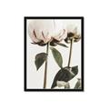 Picture of Romantic Blur Peony IV _GroupedProduct_Rectangle_Portrait_Photography _GroupedProduct_Rectangle_Portrait_Framed_Matted_