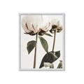 Picture of Romantic Blur Peony IV _GroupedProduct_Rectangle_Portrait_Photography _GroupedProduct_Rectangle_Portrait_Framed_Matted_