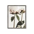 Picture of Romantic Blur Peony IV _GroupedProduct_Rectangle_Portrait_Photography _GroupedProduct_Rectangle_Portrait_Framed_Matted_