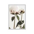 Picture of Romantic Blur Peony IV _GroupedProduct_Rectangle_Portrait_Photography _GroupedProduct_Rectangle_Portrait_Framed_Matted_