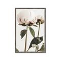 Picture of Romantic Blur Peony IV _GroupedProduct_Rectangle_Portrait_Photography _GroupedProduct_Rectangle_Portrait_Framed_Matted_