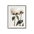 Picture of Romantic Blur Peony IV _GroupedProduct_Rectangle_Portrait_Photography _GroupedProduct_Rectangle_Portrait_Framed_Matted_