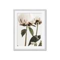 Picture of Romantic Blur Peony IV _GroupedProduct_Rectangle_Portrait_Photography _GroupedProduct_Rectangle_Portrait_Framed_Matted_