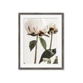 Picture of Romantic Blur Peony IV _GroupedProduct_Rectangle_Portrait_Photography _GroupedProduct_Rectangle_Portrait_Framed_Matted_