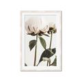 Picture of Romantic Blur Peony IV _GroupedProduct_Rectangle_Portrait_Photography _GroupedProduct_Rectangle_Portrait_Framed_Matted_