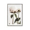 Picture of Romantic Blur Peony IV _GroupedProduct_Rectangle_Portrait_Photography _GroupedProduct_Rectangle_Portrait_Framed_Matted_