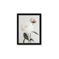 Picture of Romantic Blur Peony III _GroupedProduct_Rectangle_Portrait_Photography _GroupedProduct_Rectangle_Portrait_Framed_Matted_