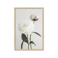 Picture of Romantic Blur Peony III _GroupedProduct_Rectangle_Portrait_Photography _GroupedProduct_Rectangle_Portrait_Framed_Matted_
