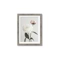 Picture of Romantic Blur Peony III _GroupedProduct_Rectangle_Portrait_Photography _GroupedProduct_Rectangle_Portrait_Framed_Matted_