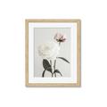 Picture of Romantic Blur Peony III _GroupedProduct_Rectangle_Portrait_Photography _GroupedProduct_Rectangle_Portrait_Framed_Matted_