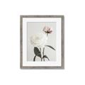 Picture of Romantic Blur Peony III _GroupedProduct_Rectangle_Portrait_Photography _GroupedProduct_Rectangle_Portrait_Framed_Matted_