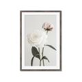 Picture of Romantic Blur Peony III _GroupedProduct_Rectangle_Portrait_Photography _GroupedProduct_Rectangle_Portrait_Framed_Matted_