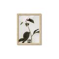 Picture of Romantic Blur Peony II _GroupedProduct_Rectangle_Portrait_Photography _GroupedProduct_Rectangle_Portrait_Framed_Matted_
