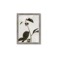 Picture of Romantic Blur Peony II _GroupedProduct_Rectangle_Portrait_Photography _GroupedProduct_Rectangle_Portrait_Framed_Matted_