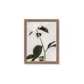 Picture of Romantic Blur Peony II _GroupedProduct_Rectangle_Portrait_Photography _GroupedProduct_Rectangle_Portrait_Framed_Matted_