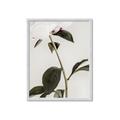 Picture of Romantic Blur Peony II _GroupedProduct_Rectangle_Portrait_Photography _GroupedProduct_Rectangle_Portrait_Framed_Matted_