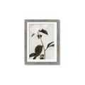 Picture of Romantic Blur Peony II _GroupedProduct_Rectangle_Portrait_Photography _GroupedProduct_Rectangle_Portrait_Framed_Matted_