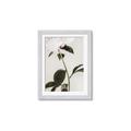 Picture of Romantic Blur Peony II _GroupedProduct_Rectangle_Portrait_Photography _GroupedProduct_Rectangle_Portrait_Framed_Matted_