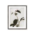 Picture of Romantic Blur Peony II _GroupedProduct_Rectangle_Portrait_Photography _GroupedProduct_Rectangle_Portrait_Framed_Matted_