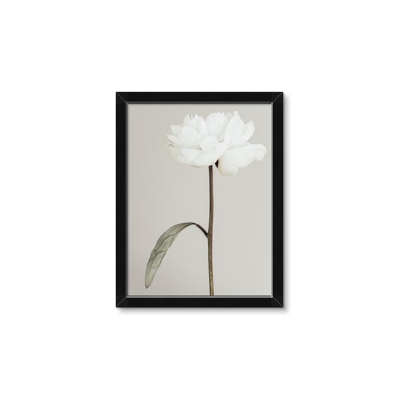 Picture of Romantic Blur Peony I _GroupedProduct_Rectangle_Portrait_Photography _GroupedProduct_Rectangle_Portrait_Framed_Matted_