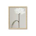 Picture of Romantic Blur Peony I _GroupedProduct_Rectangle_Portrait_Photography _GroupedProduct_Rectangle_Portrait_Framed_Matted_