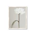 Picture of Romantic Blur Peony I _GroupedProduct_Rectangle_Portrait_Photography _GroupedProduct_Rectangle_Portrait_Framed_Matted_