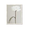 Picture of Romantic Blur Peony I _GroupedProduct_Rectangle_Portrait_Photography _GroupedProduct_Rectangle_Portrait_Framed_Matted_