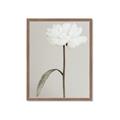 Picture of Romantic Blur Peony I _GroupedProduct_Rectangle_Portrait_Photography _GroupedProduct_Rectangle_Portrait_Framed_Matted_
