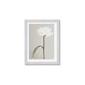 Picture of Romantic Blur Peony I _GroupedProduct_Rectangle_Portrait_Photography _GroupedProduct_Rectangle_Portrait_Framed_Matted_