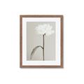 Picture of Romantic Blur Peony I _GroupedProduct_Rectangle_Portrait_Photography _GroupedProduct_Rectangle_Portrait_Framed_Matted_