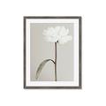 Picture of Romantic Blur Peony I _GroupedProduct_Rectangle_Portrait_Photography _GroupedProduct_Rectangle_Portrait_Framed_Matted_