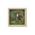 Picture of Tropical Paradise Toucan Bird _GroupedProduct_Square_Framed_Matted_
