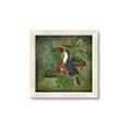 Picture of Tropical Paradise Toucan Bird _GroupedProduct_Square_Framed_Matted_