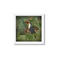 Picture of Tropical Paradise Toucan Bird _GroupedProduct_Square_Framed_Matted_