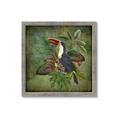 Picture of Tropical Paradise Toucan Bird _GroupedProduct_Square_Framed_Matted_