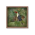 Picture of Tropical Paradise Toucan Bird _GroupedProduct_Square_Framed_Matted_