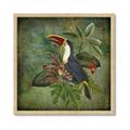 Picture of Tropical Paradise Toucan Bird _GroupedProduct_Square_Framed_Matted_