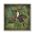Picture of Tropical Paradise Toucan Bird _GroupedProduct_Square_Framed_Matted_