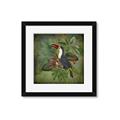 Picture of Tropical Paradise Toucan Bird _GroupedProduct_Square_Framed_Matted_