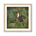 Picture of Tropical Paradise Toucan Bird _GroupedProduct_Square_Framed_Matted_