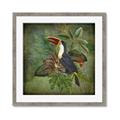 Picture of Tropical Paradise Toucan Bird _GroupedProduct_Square_Framed_Matted_