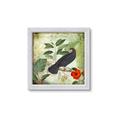 Picture of Tropical Paradise Birds Garden _GroupedProduct_Square_Framed_Matted_