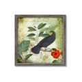 Picture of Tropical Paradise Birds Garden _GroupedProduct_Square_Framed_Matted_