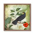 Picture of Tropical Paradise Birds Garden _GroupedProduct_Square_Framed_Matted_