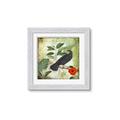 Picture of Tropical Paradise Birds Garden _GroupedProduct_Square_Framed_Matted_